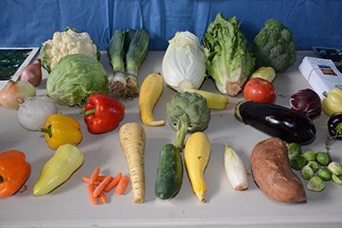 New Crops 2017