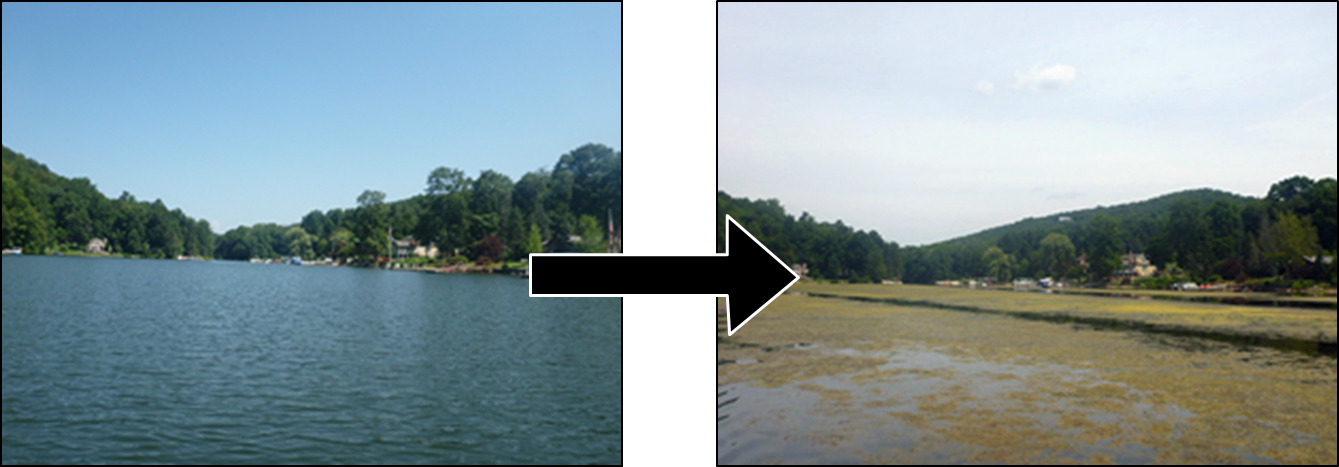 Squantz Pond, New Fairfield