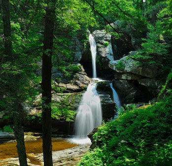 A waterfall with greenery surrounding the area.
