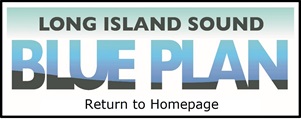 Blue Plan Home button