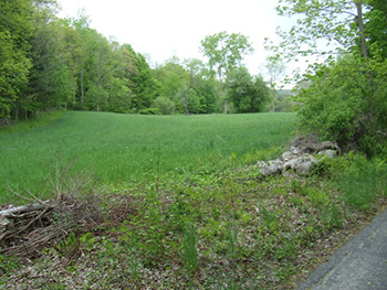 Farmland along the Housatonic River.