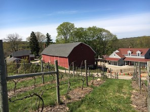 Jones Winery
