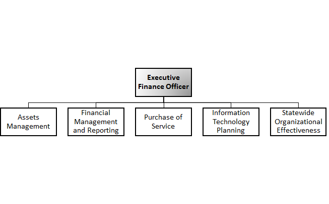 Office of Finance - Divisional Structure