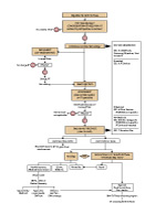 Figure 3 Thumbnail - Assessment Process