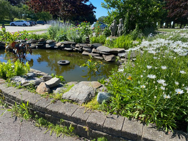 Camp Harkness Pond near Brown Cabins