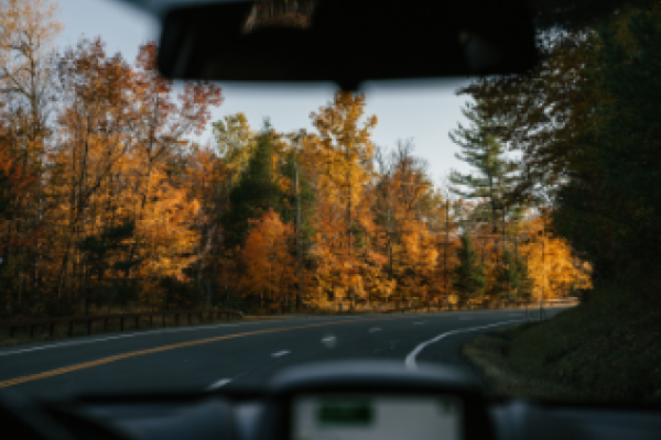 Vehicle on Road