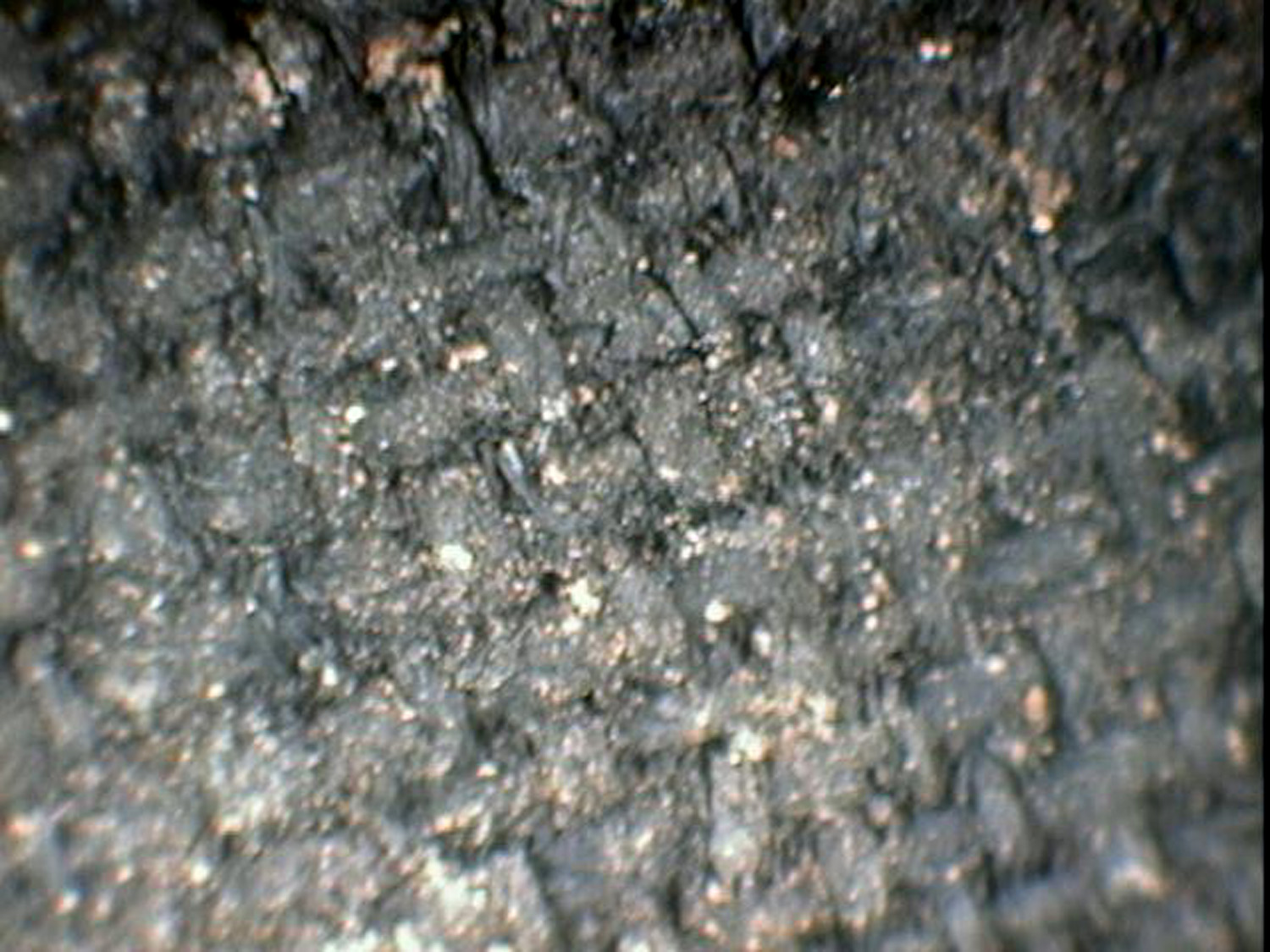 Close-up photograph of wool cloth fragment