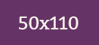 50x110px icon